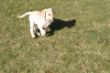 Marley Garten 119.JPG