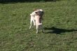 Marley 20.03.2014 012.JPG