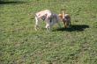 Marley 20.03.2014 014.JPG