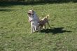 Marley 20.03.2014 017.JPG