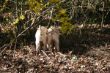 Marley 20.03.2014 040.JPG