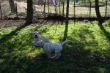 Marley 20.03.2014 055.JPG
