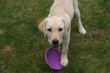 Marley Steinwedel 29.03.2014 230.JPG
