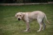 Marley Steinwedel 29.03.2014 264.JPG