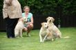 Seven Dax  und Marley 033.JPG