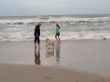 Bilder I-Phone August 2014 647.JPG