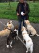 Marley Park 5.jpg
