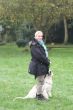 Marley 6. November Hundeschule 128.JPG