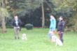 Marley 6. November Hundeschule 228.JPG
