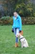 Marley 6. November Hundeschule 234.JPG