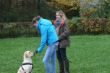 Marley 6. November Hundeschule 254.JPG