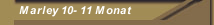 Marley 10- 11 Monat